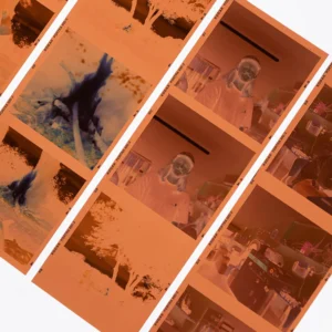 C41- Color 120